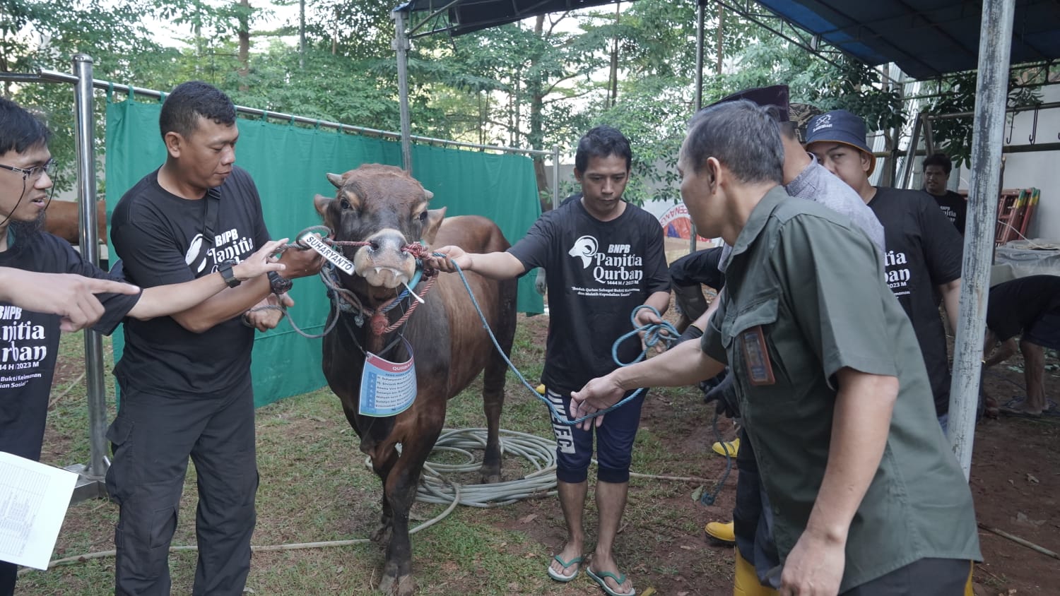 Petugas pemotong qurban sedang mempersiapkan sapi yang akan disembelih saat pelaksanaan qurban Idul Adha di Lingkungan BNPB pada Jumat (30/6).